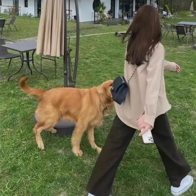 洛杉矶大劫难