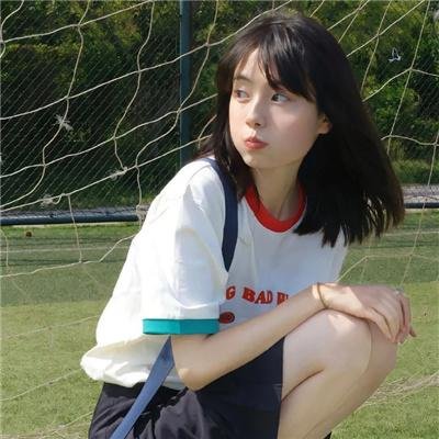 夏日的玫瑰